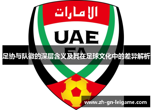 足协与队徽的深层含义及其在足球文化中的差异解析 足协与队徽的深层含义及其在足球文化中的差异解析